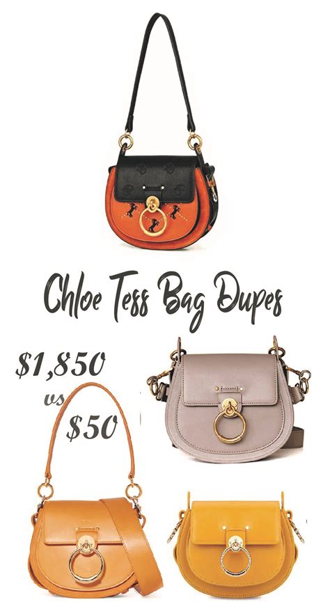 Incredible Chloe Tess Bag Dupes You Can Get Under !